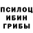 Галлюциногенные грибы Psilocybe Play Name