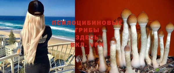прущая мука Балахна
