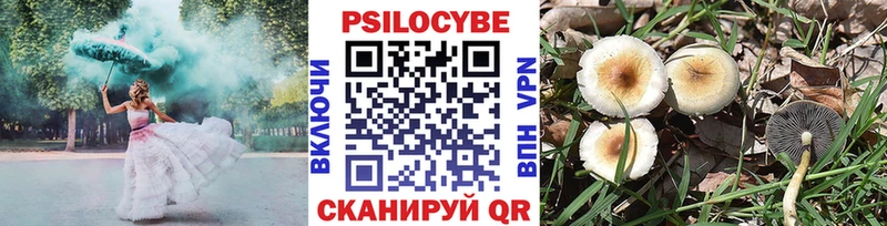 Галлюциногенные грибы Psilocybine cubensis  Купить закладки  Белорецк 